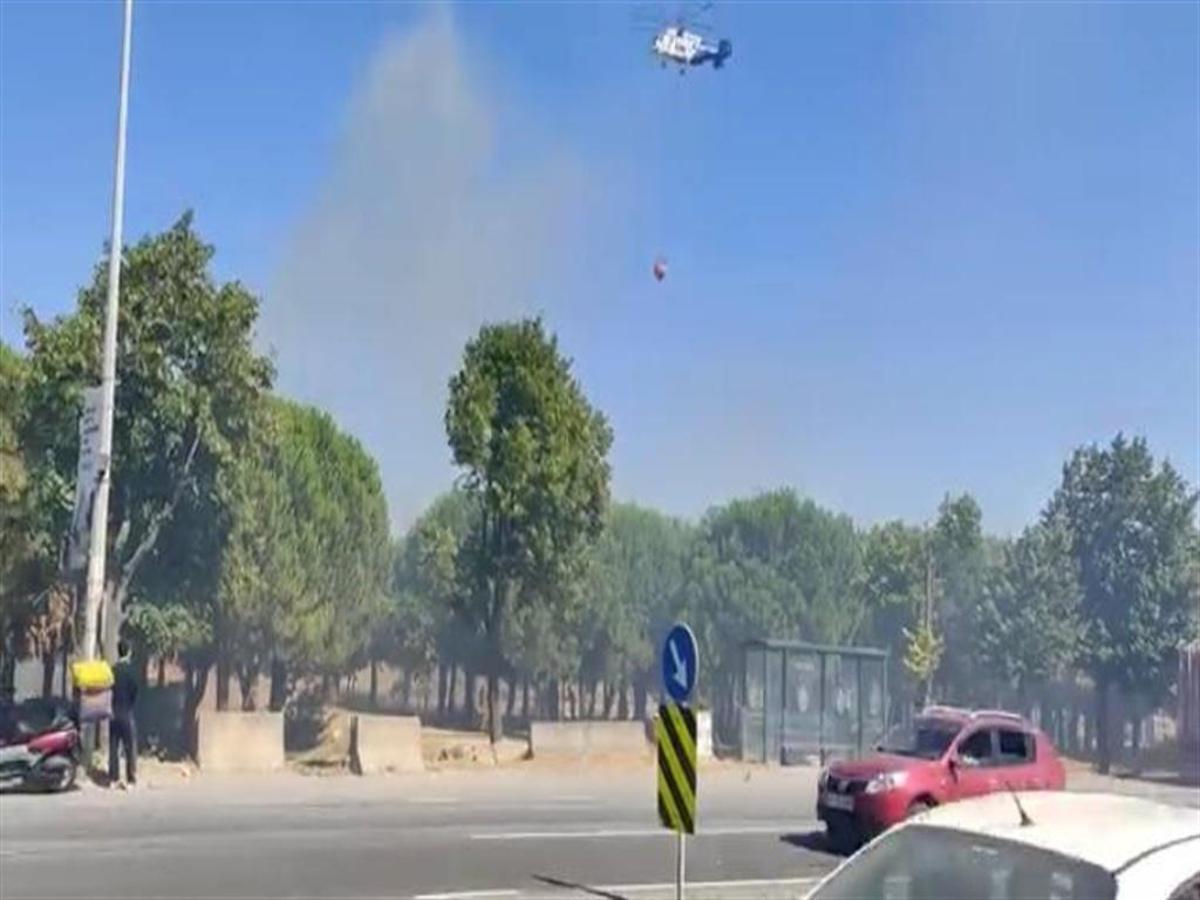 Başakşehir'de ağaçlık alanda çıkan yangın söndürme çalışmaları