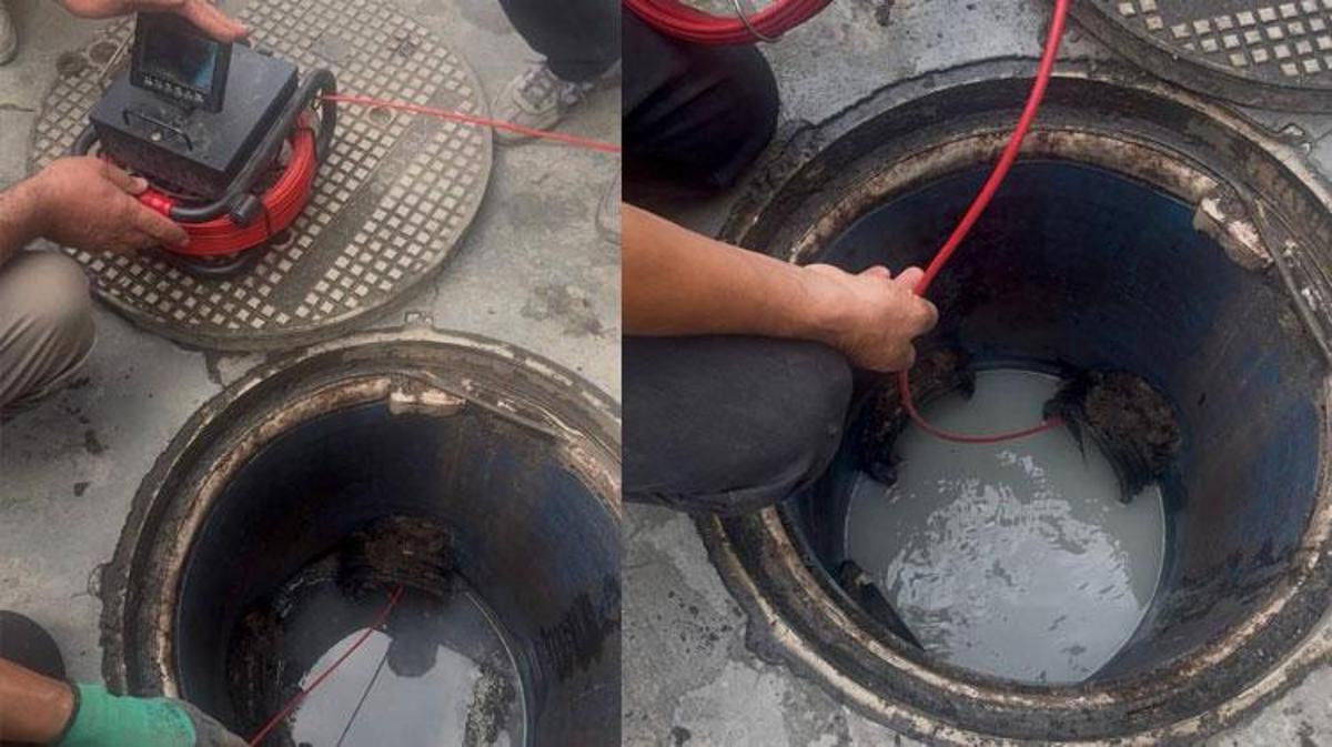 Sakarya Hendek'te bir peynir fabrikasından Dinsiz Deresi'ne atık su bırakıldığı tespit edildi.