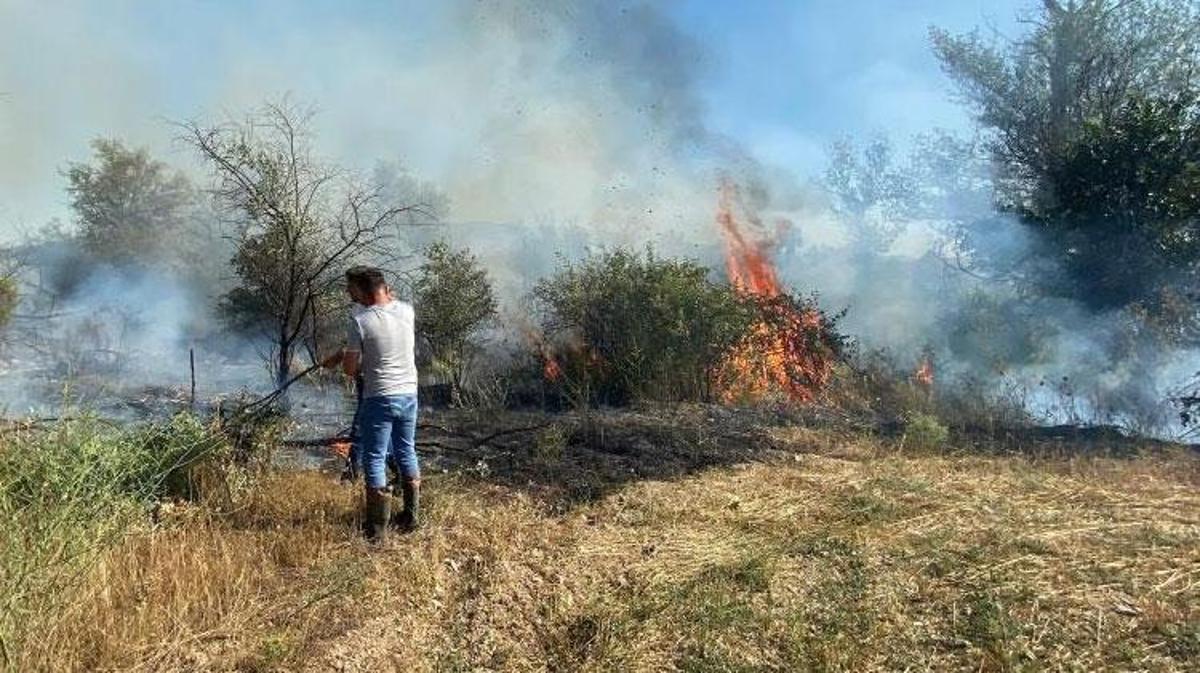 Korgun'da çıkan örtü yangını ağaçlık alana sıçradı