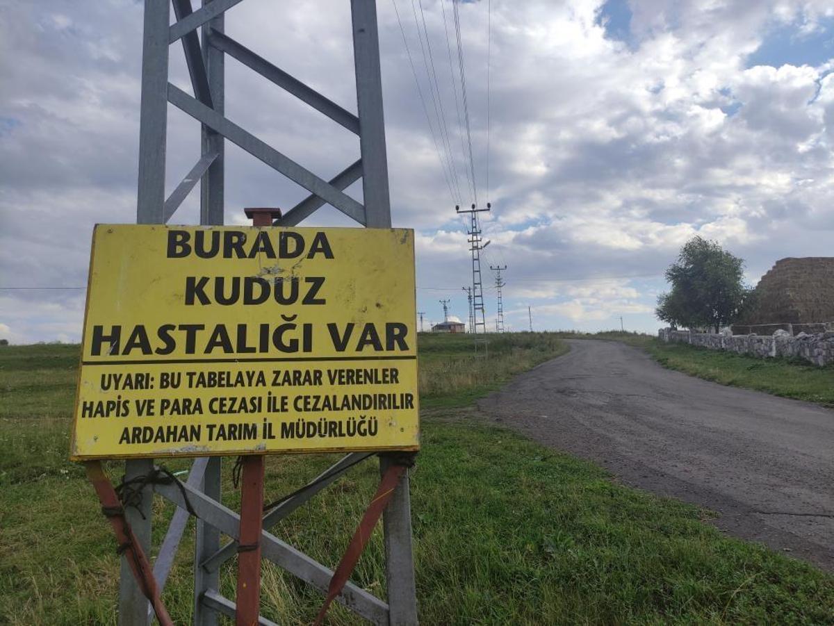 Tes Laboratorium Positif, Konfirmasi Keberadaan Virus Rabies