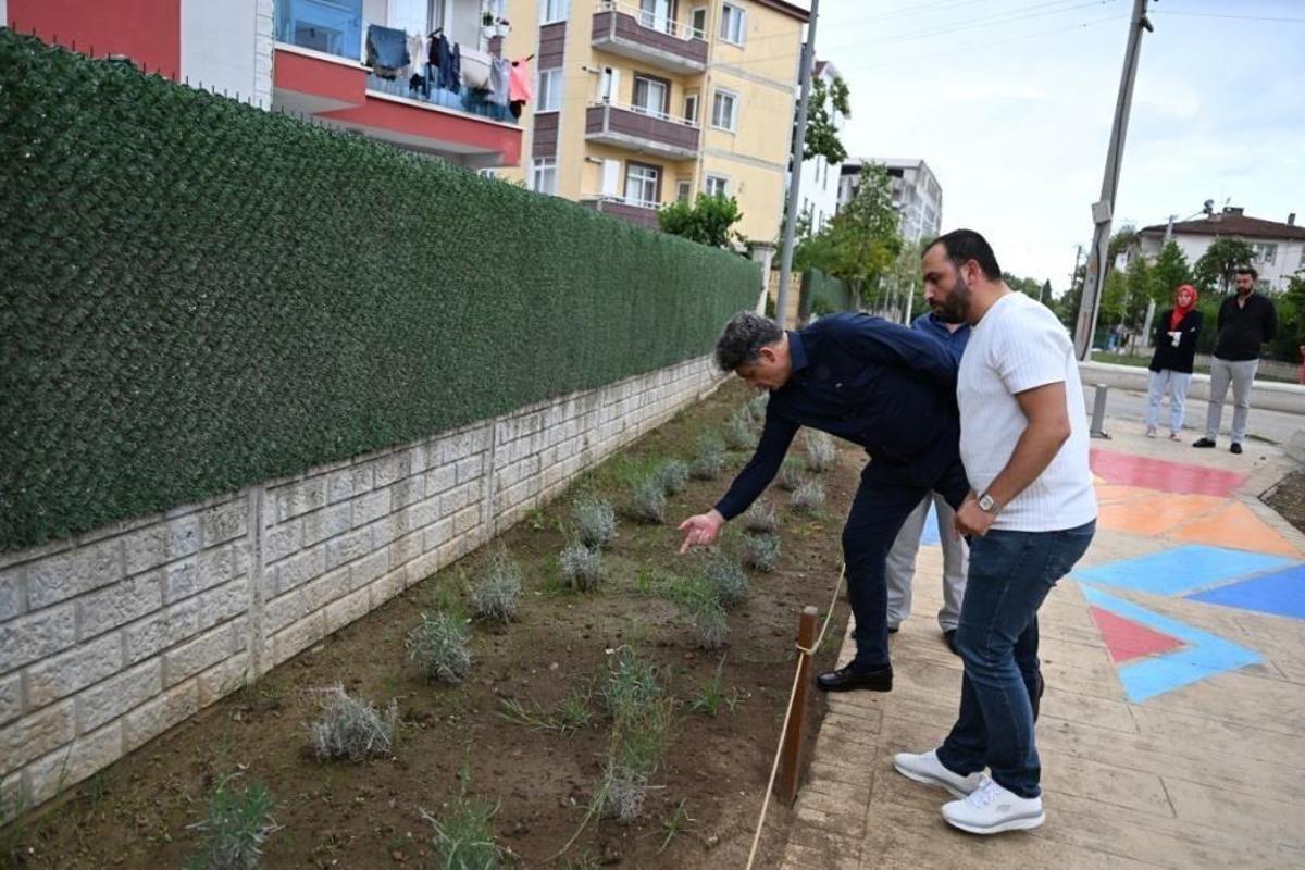 Kocaeli Kartepe'deki Kanal Park komple değişecek: İşte kazanacağı yeni kimlik