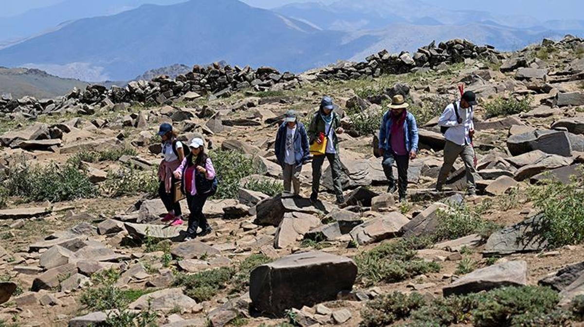 Van'da 3 bin rakımda keşfedildi! İlk gün 300 tane ortaya çıktı, sayı her geçen gün artıyor