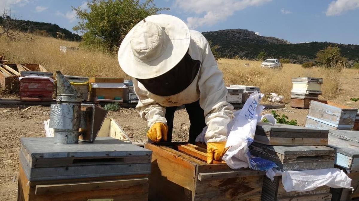 Kilogramı bin 500 lira! Malatya balı kısa sürede tükendi