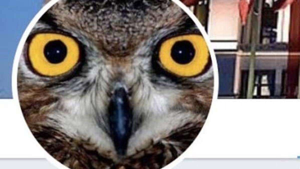 Ankara Kuşu yöneticisi Oktay Yaşar mı? Twitter kullanıcısı Ankara Kuşu kimdir, Oktay Yaşar kimdir? (Ankara kuşu gözaltına alındı)
