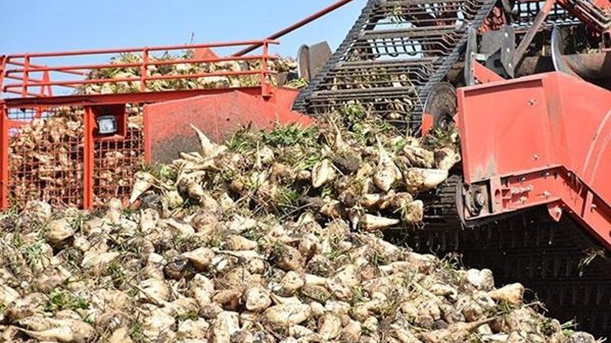 Çiftçiye destek paraları ödemeleri başladı! Pancar çiftçisi destekleme parası ne zaman yatırılacak? Çiftçi desteği ödemelerinde son durum ne?