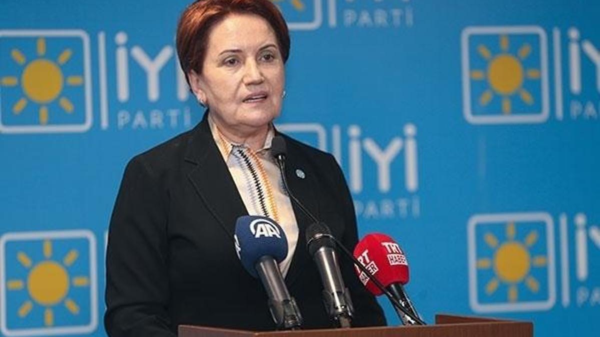 Meral Akşener: Corona virüs bizim eve de girdi