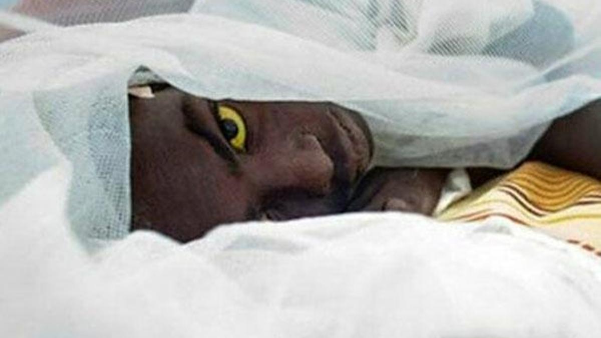Güney Sudan'ın güneyinde sarı humma salgını başladı