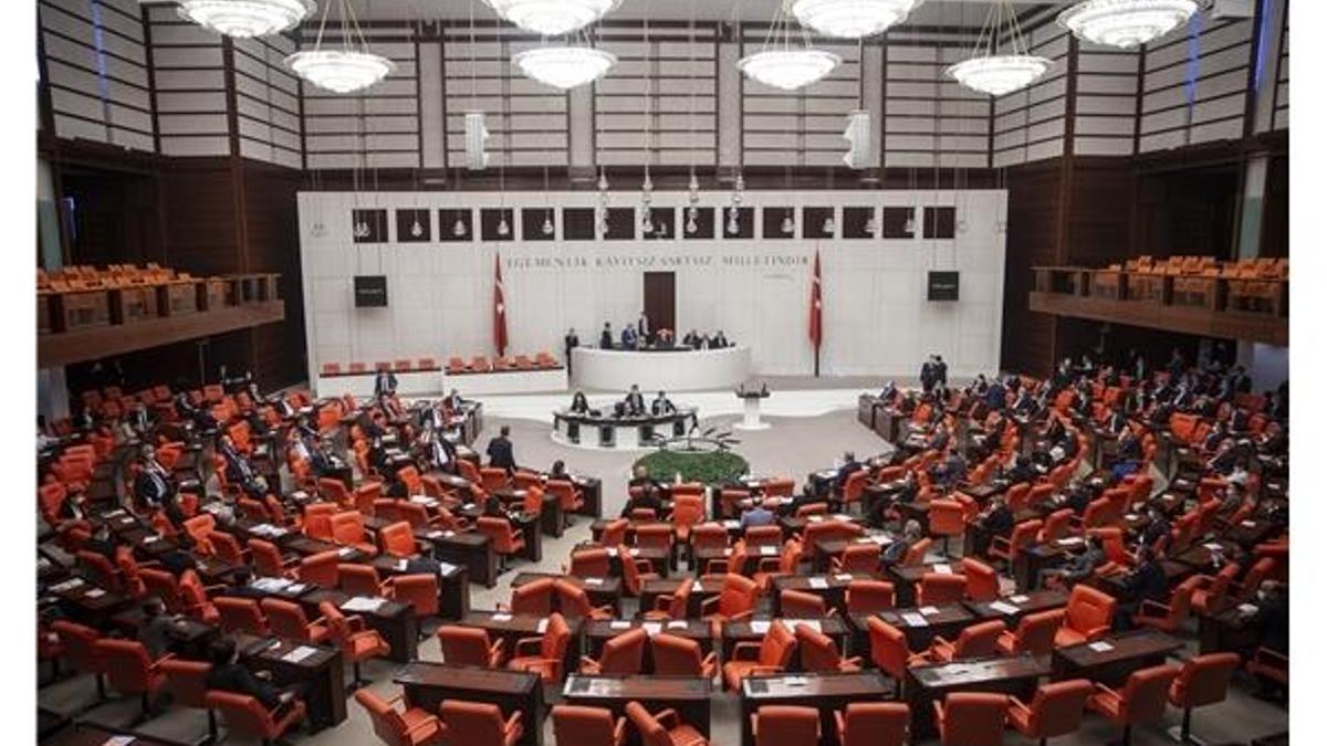 Corona virüs salgınına ilişkin ekonomik önlem paketi, Plan ve Bütçe Komisyonunda
