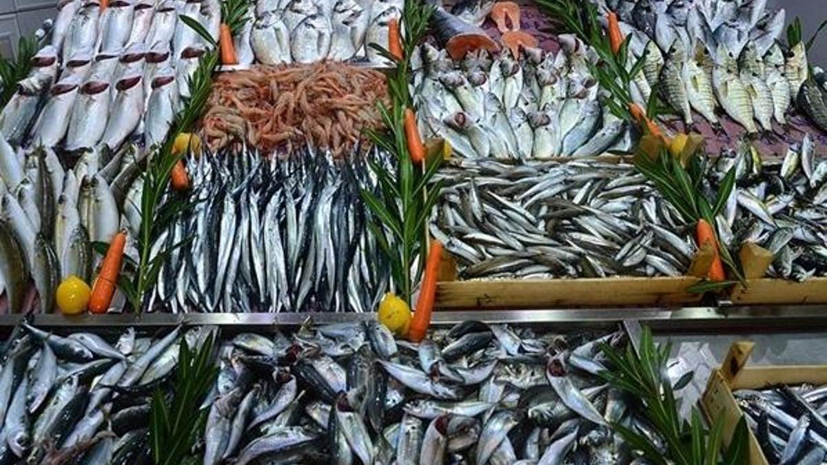 Balık av yasağı başladı mı? Balık av yasağı ne zaman bitiyor 2020? Cezası ne kadar? (Bakan Pakdemirli duyurdu)