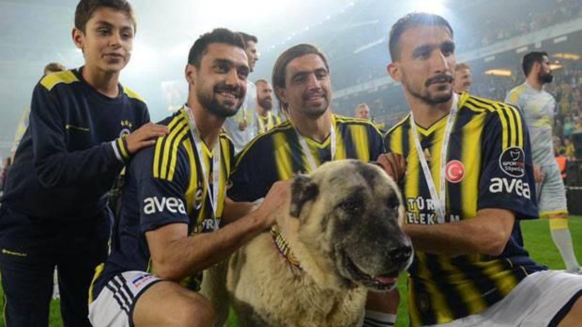Mehmet Topuz: Haddime değil
