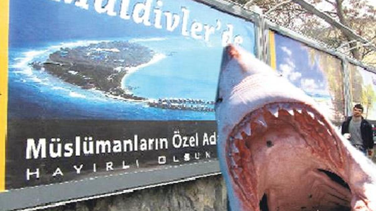 Jet Fadıl bitti ‘Shark(*) Fadıl’ geldi!