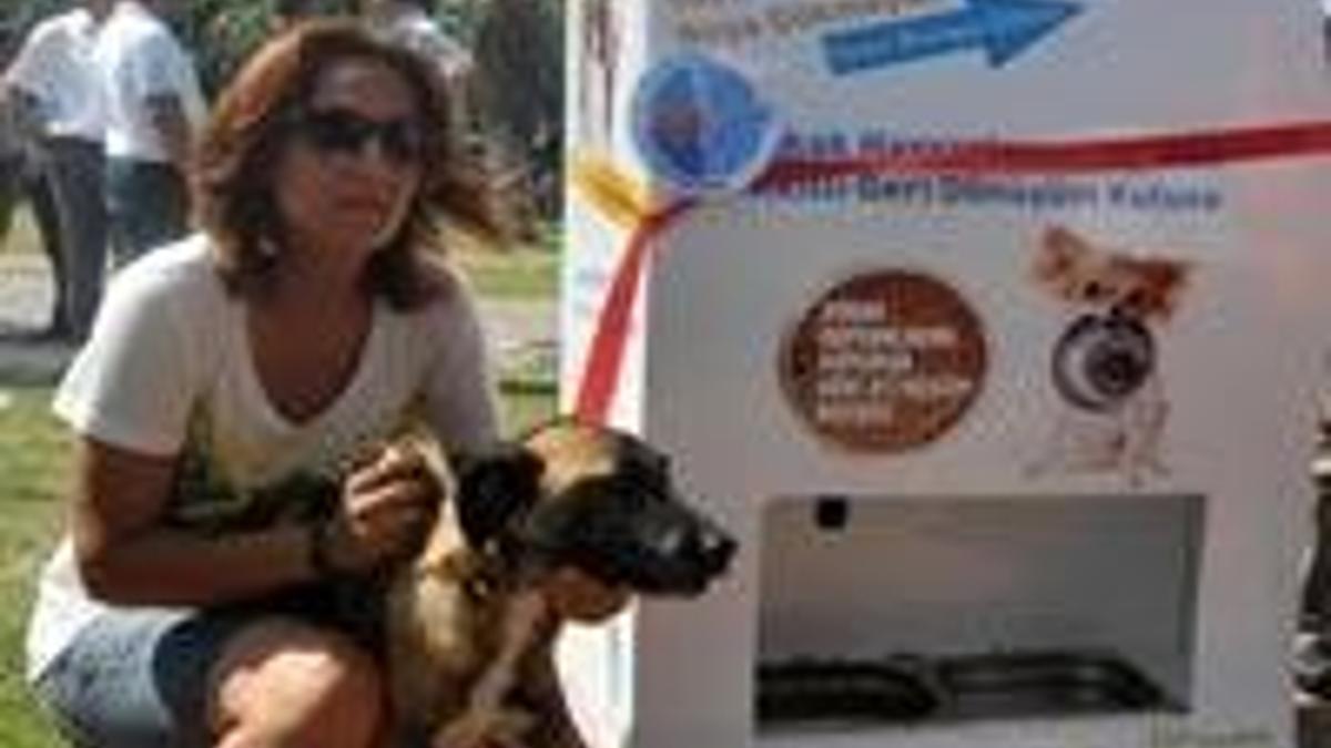 Sokak hayvanları akıllı kutularla doyacak!