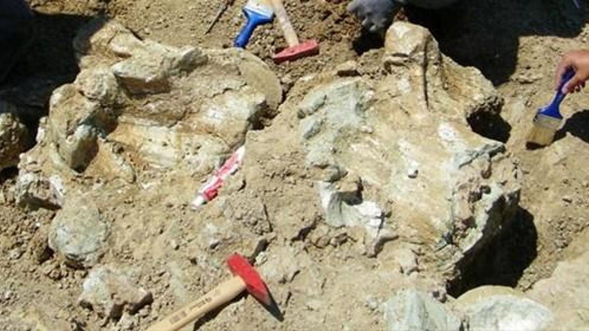 İki ailenin silahlı çocuk kavgası