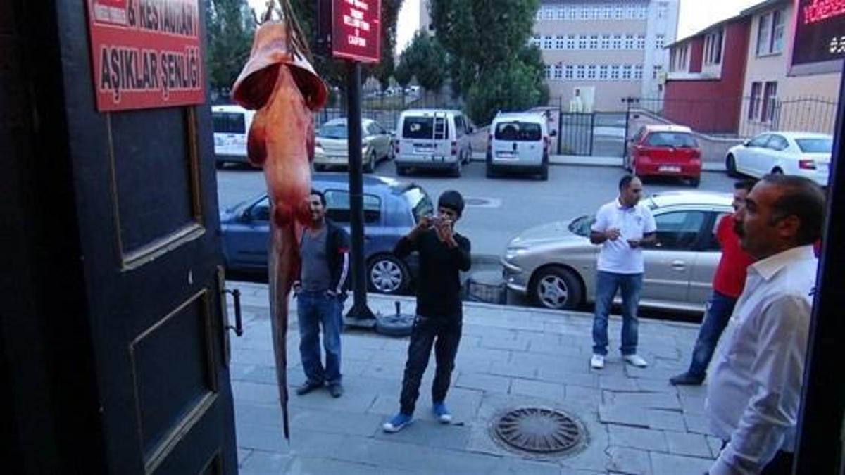 Görenler şaşkına döndü!