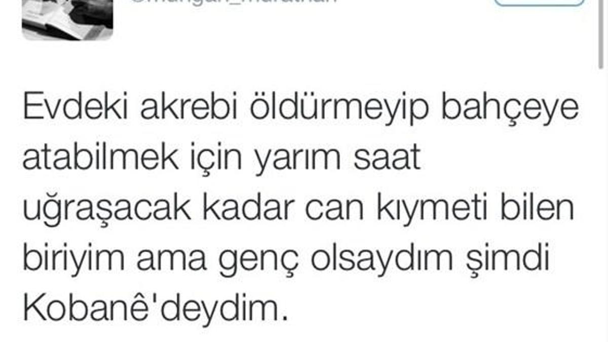 'Genç olsaydım şimdi Kobane'deydim'