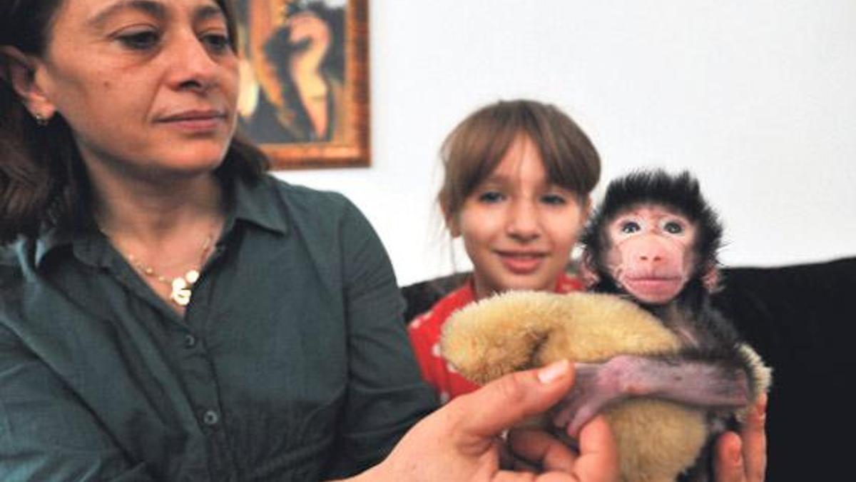 Öksüz kaldı klinik sorumlusu besliyor!