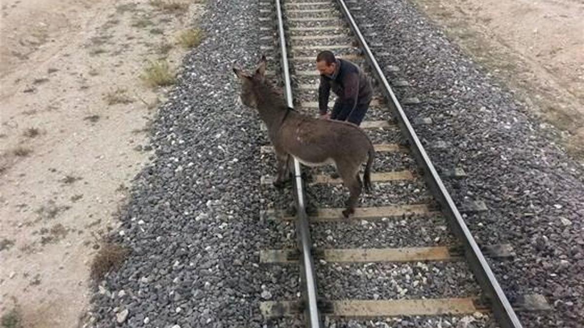 Akdoğan son noktayı koydu!