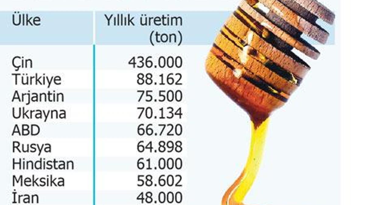 Peşmerge Komutanı: IŞİD takatten düştü