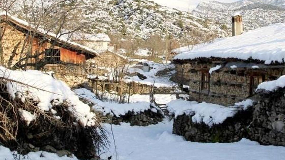 En büyük pişmanlığım Asena