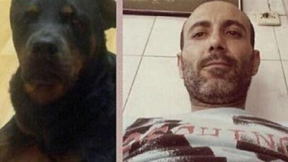 Köpeği öldürdü denilmişti! İşin aslı...