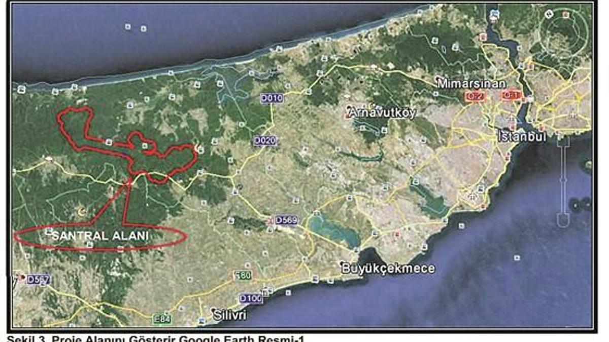 Bir ağaç katliamı daha mı kapıda?