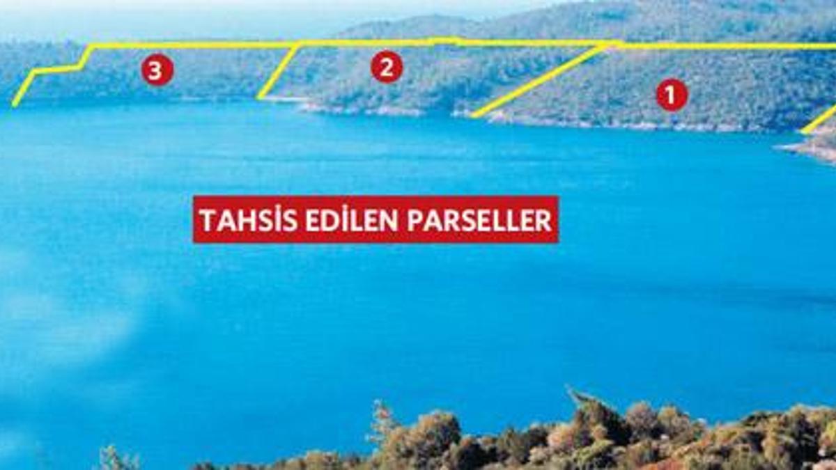 Putin'den aşk itirafı!