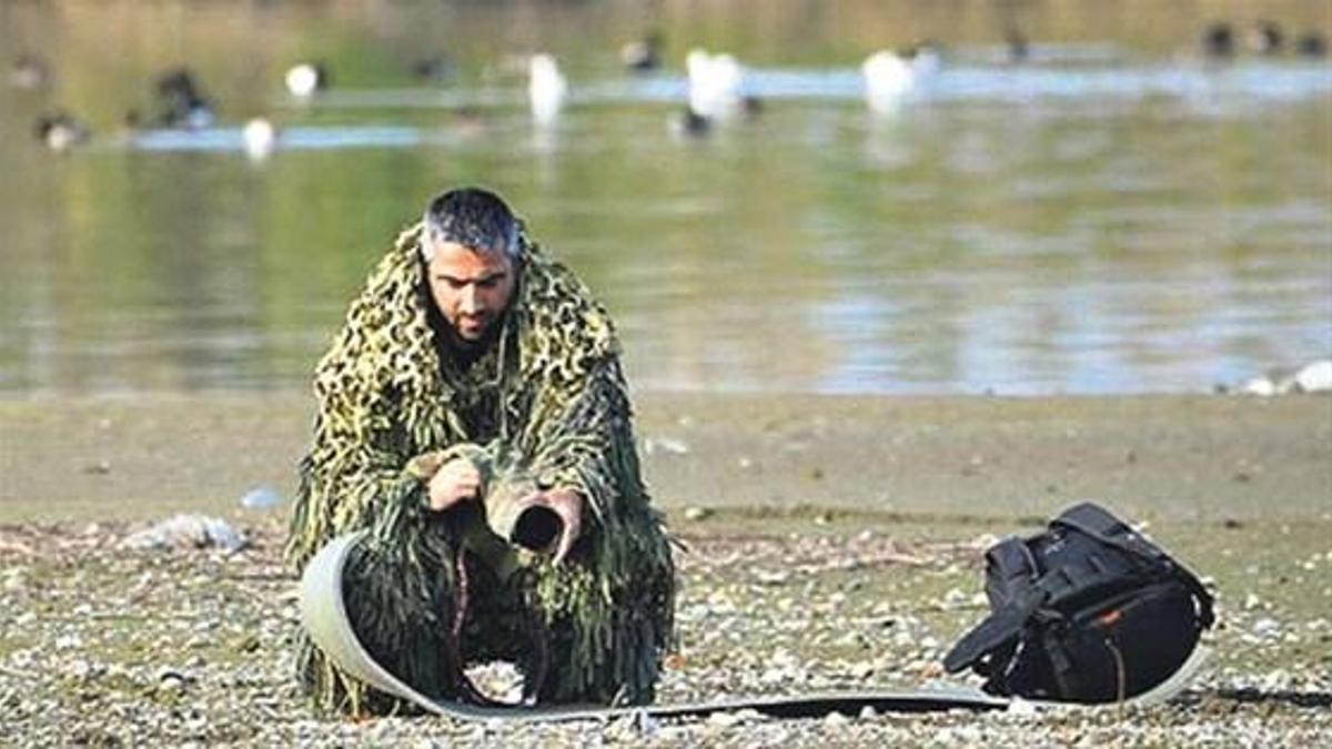 Rize'de 'kutup martısı'