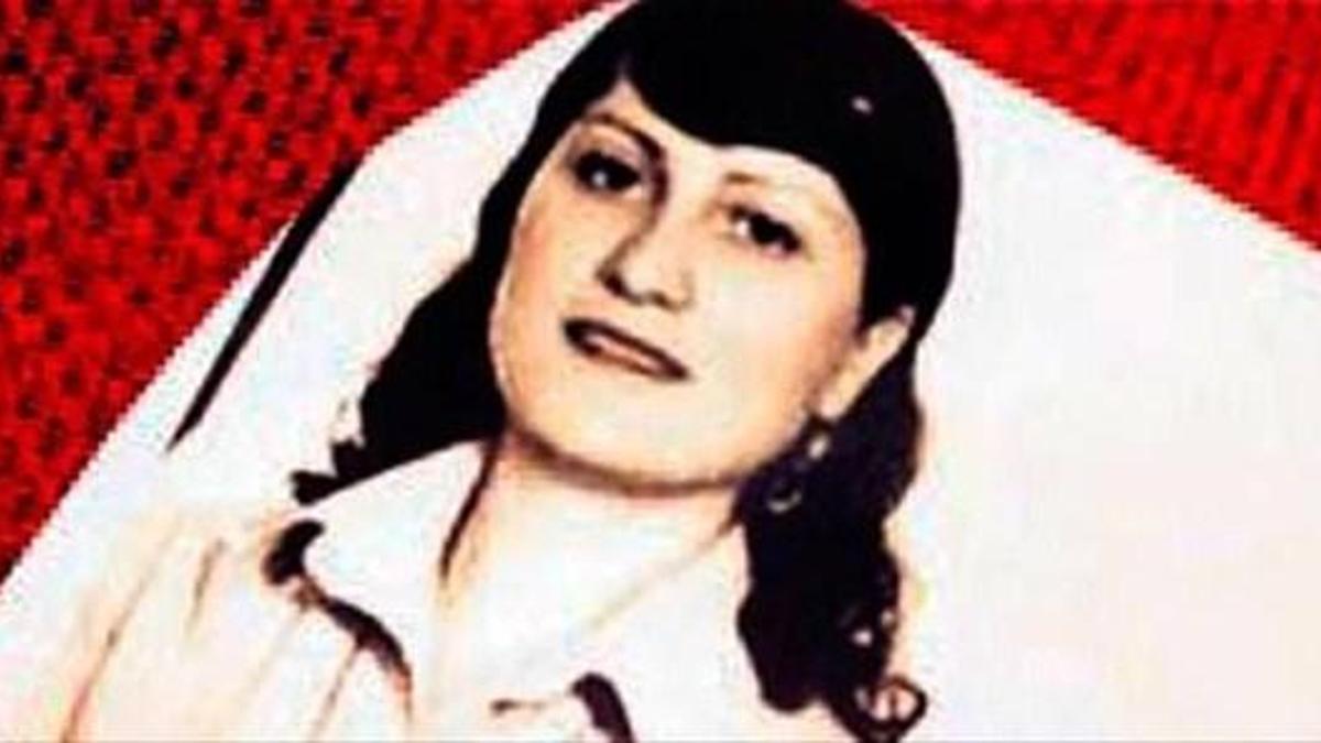 Kar yağışı hamsiyi vurdu!