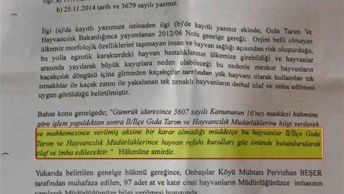 97 katır imha edilecek!