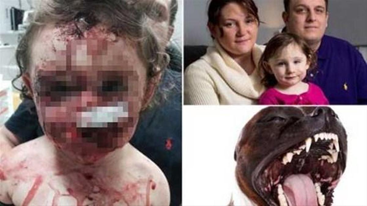 IŞİD 41 Kürt aileyi rehin aldı