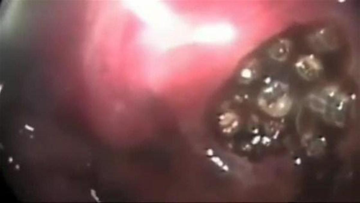 Cumhurbaşkanı'na örtülü ödenek hakkı Meclis'ten geçti