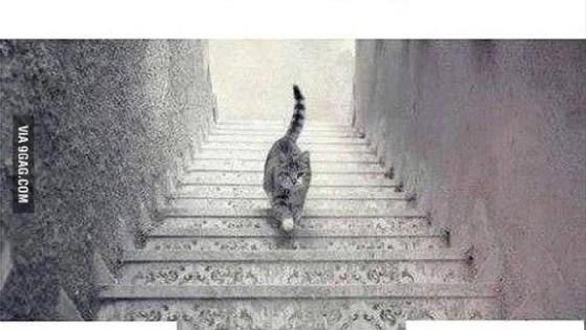 Reflüyü dikkate alın!