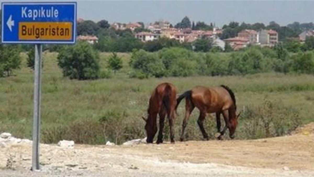 Ünlü anketçiden ilginç tespit!