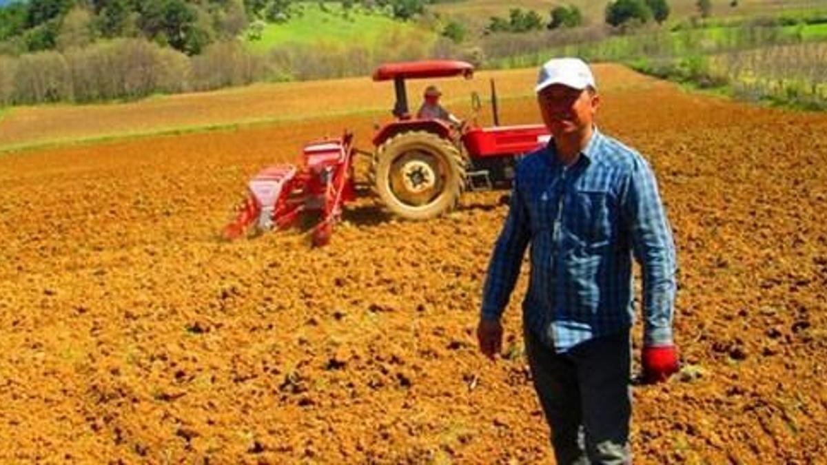 'Astronot gıdası' Çanakkale'de yetişiyor