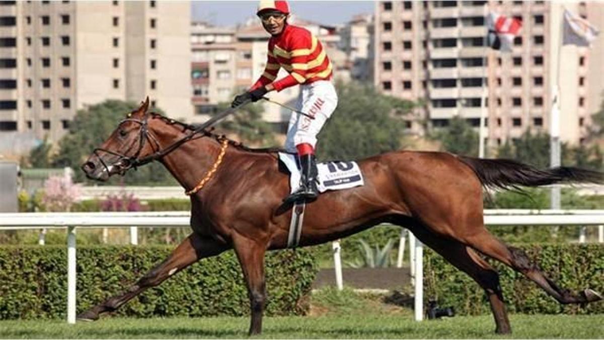 Efsane at hayatını kaybetti