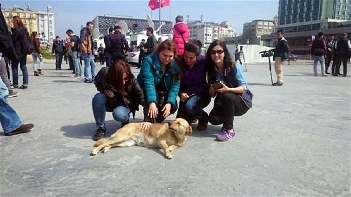 Taksim'de 030'a yoğun ilgi