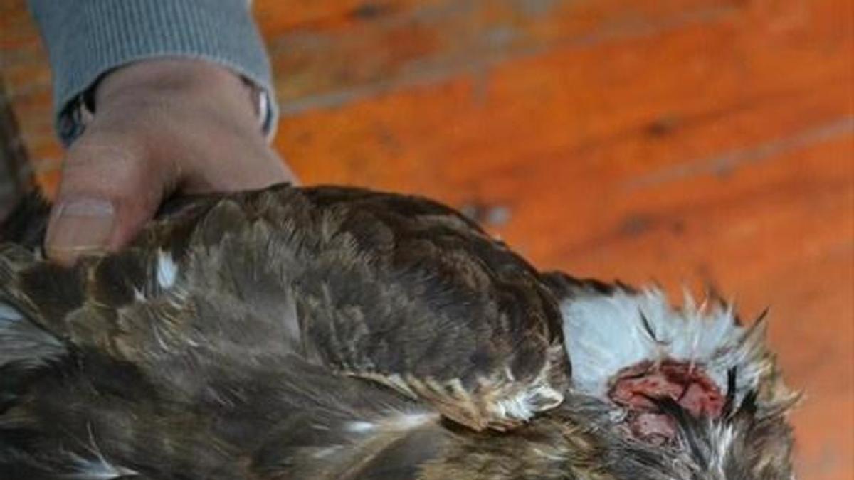 CHP'li aday oy istedi! Kadın bakın ne yanıt verdi