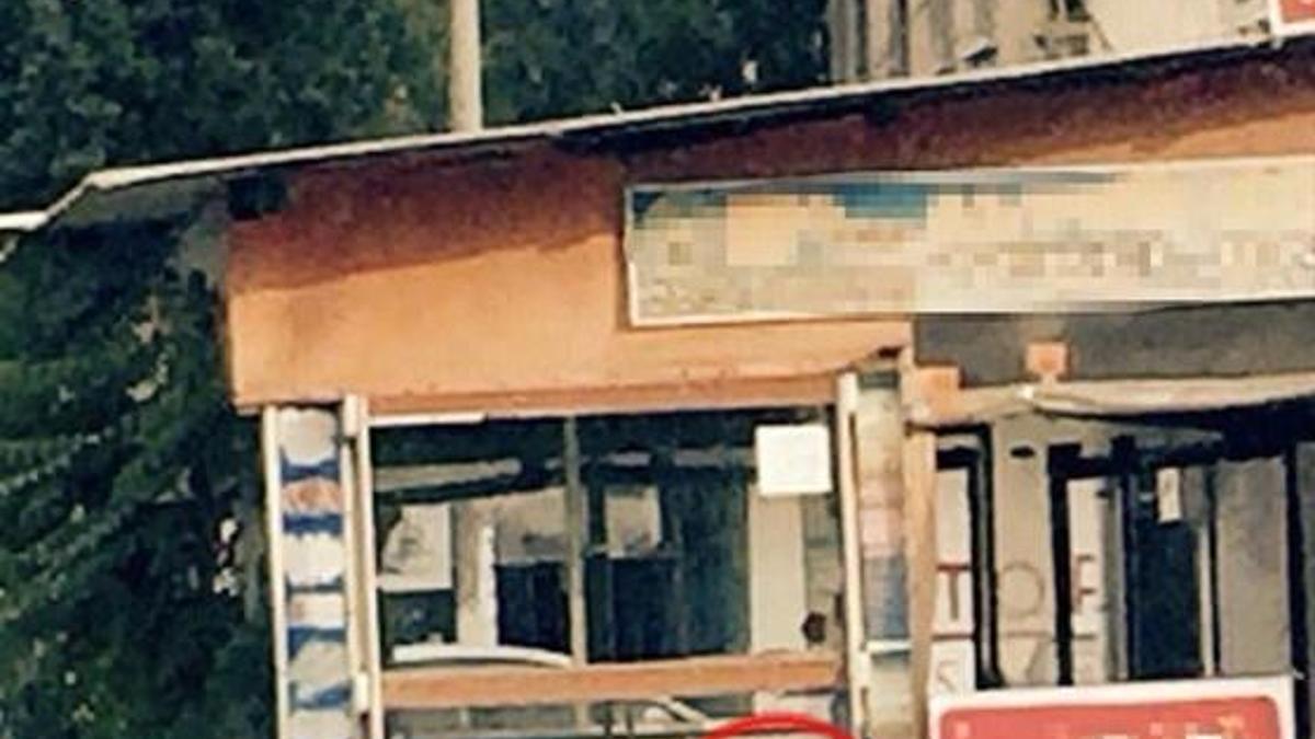 Poğaça camekanındaki kedi tepki çekti