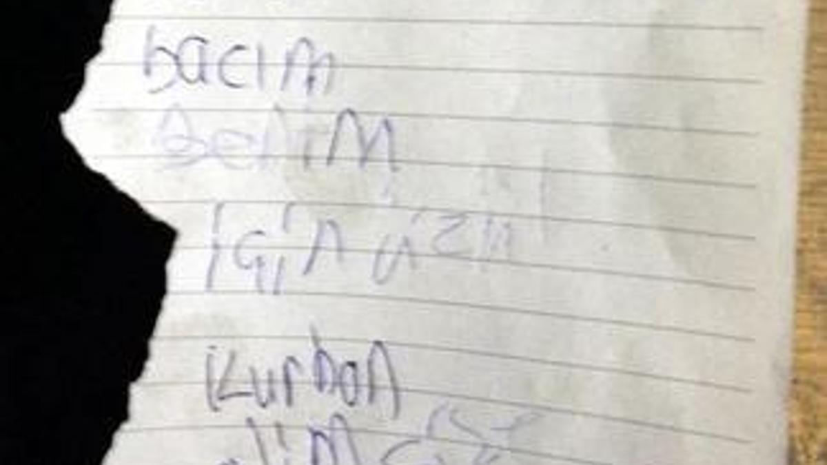 Bodrum'a yeni proje