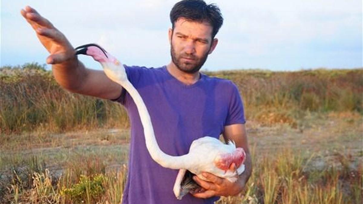 Yaralı flamingoyu balıkçılar kurtardı