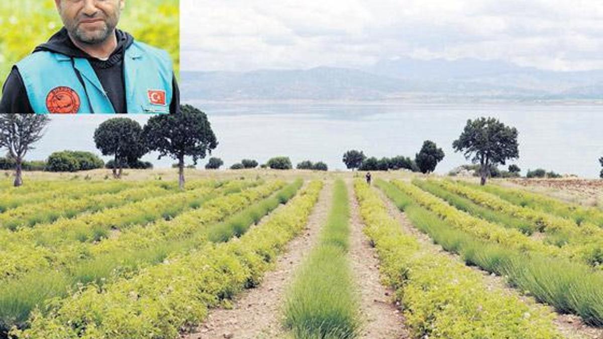 Talandan kurtarıp cennet yaptı!