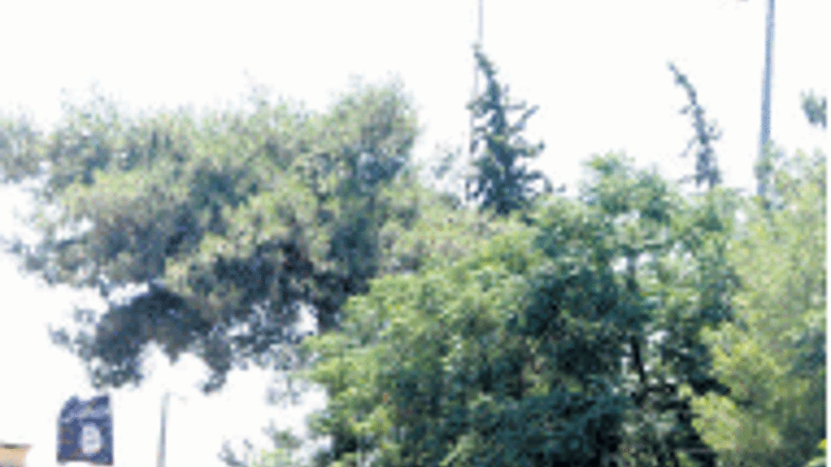 IŞİD sınıra mayın döşedi