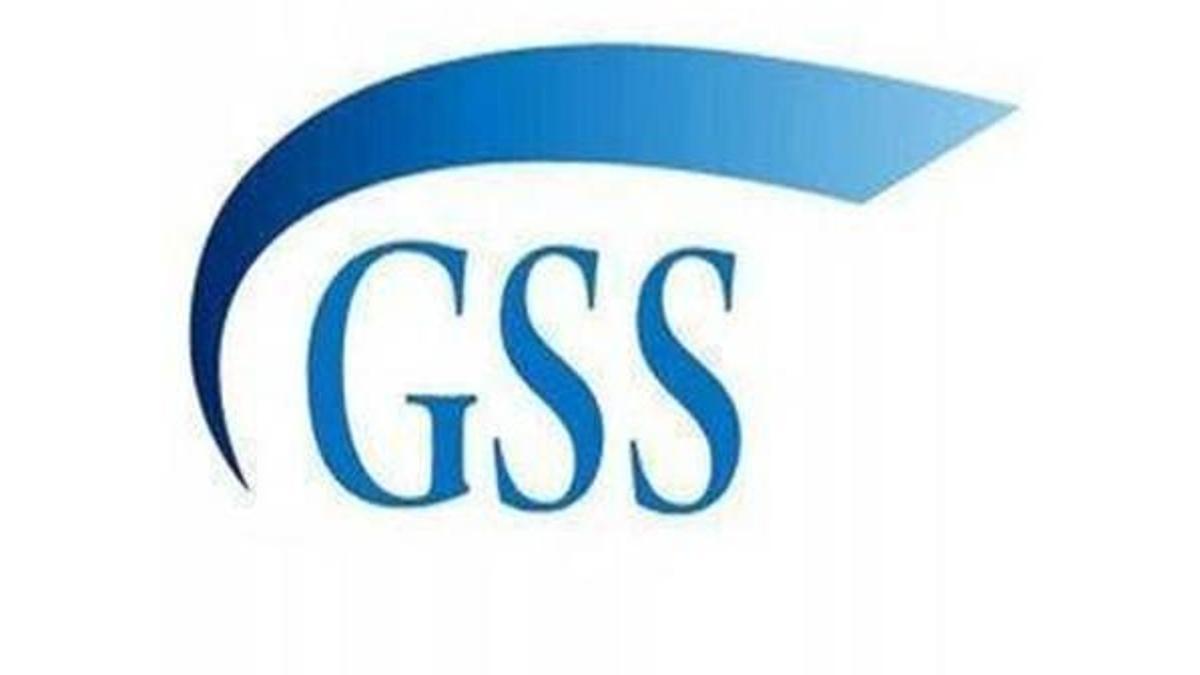 Online Web Tahsilat İle GSS Ve Bağkur Borç Sorgulama