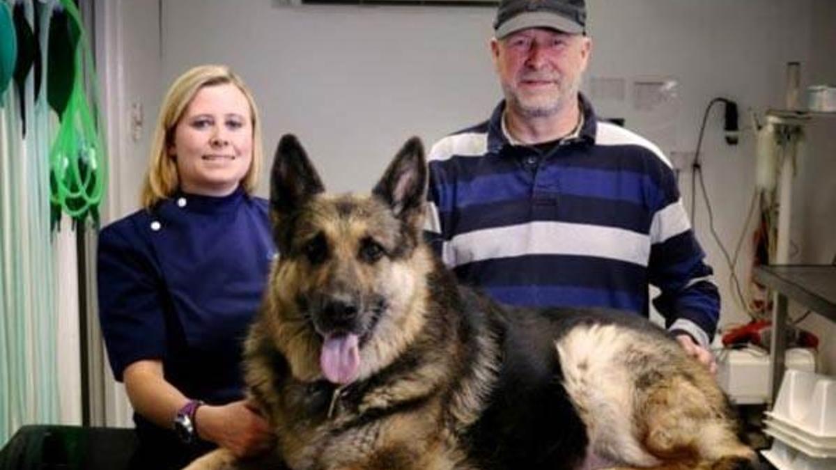 Kurt köpeğinin midesinden çıkanlar şaşırttı