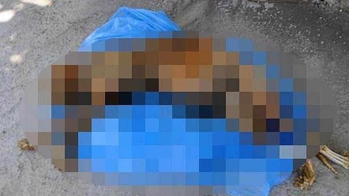 Nesli tükenmekte olan 'Anadolu Parsı' ölü bulundu