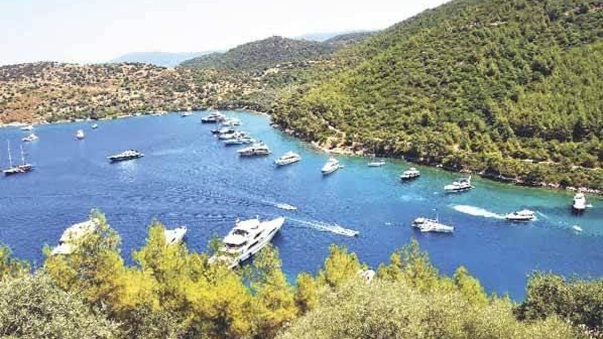 239 koydan 98’i can çekişiyor