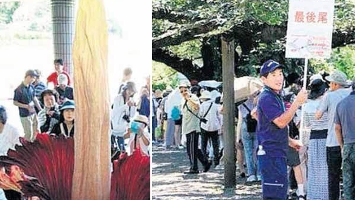 ‘Ceset’ çiçeğine büyük ilgi