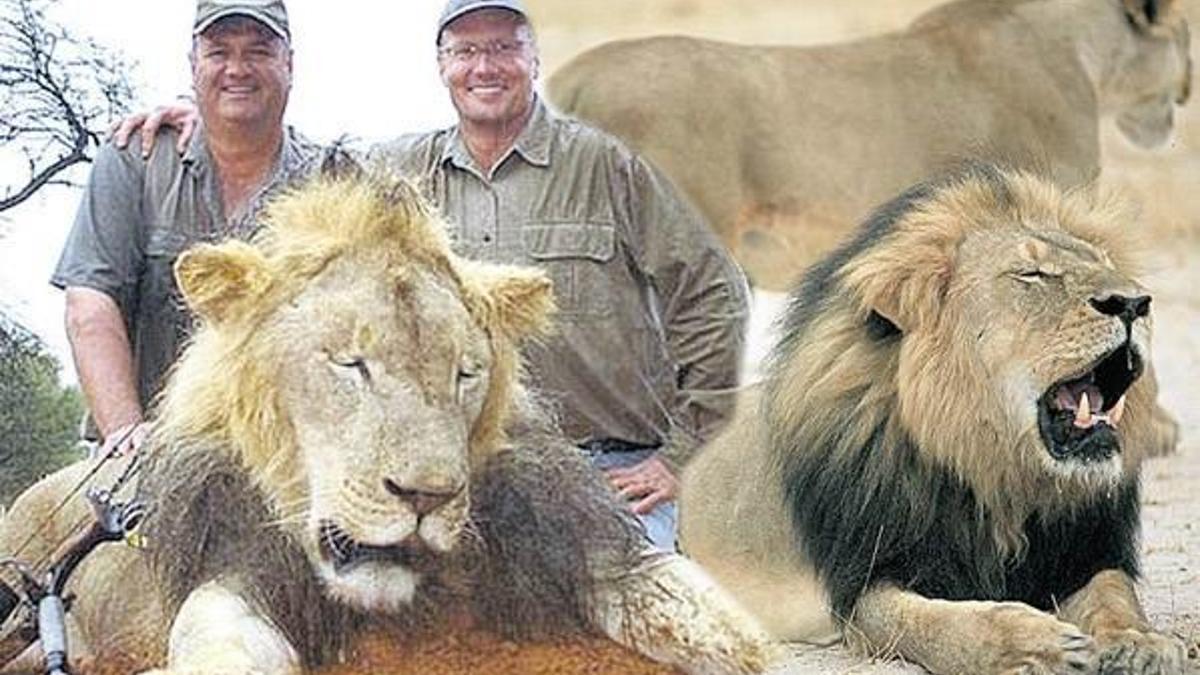 ‘Aslan katili asılsın’