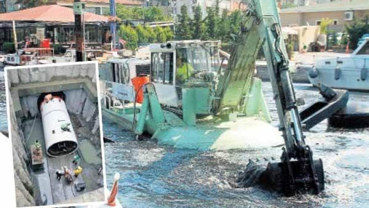 Yengeç ‘temizliğe’ başladı