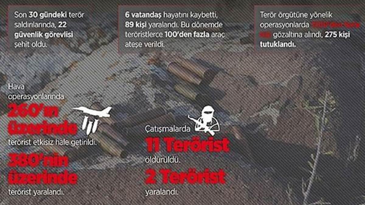 Terör saldırılarının 30 günlük bilançosu
